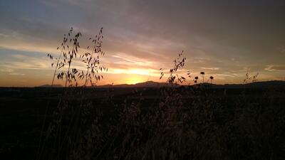 El treball nocturn El treball nocturn